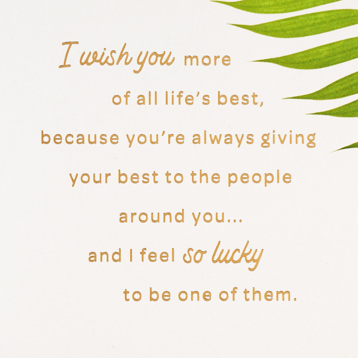 I Wish You More of What Energizes You Birthday Card for only USD 8.59 | Hallmark