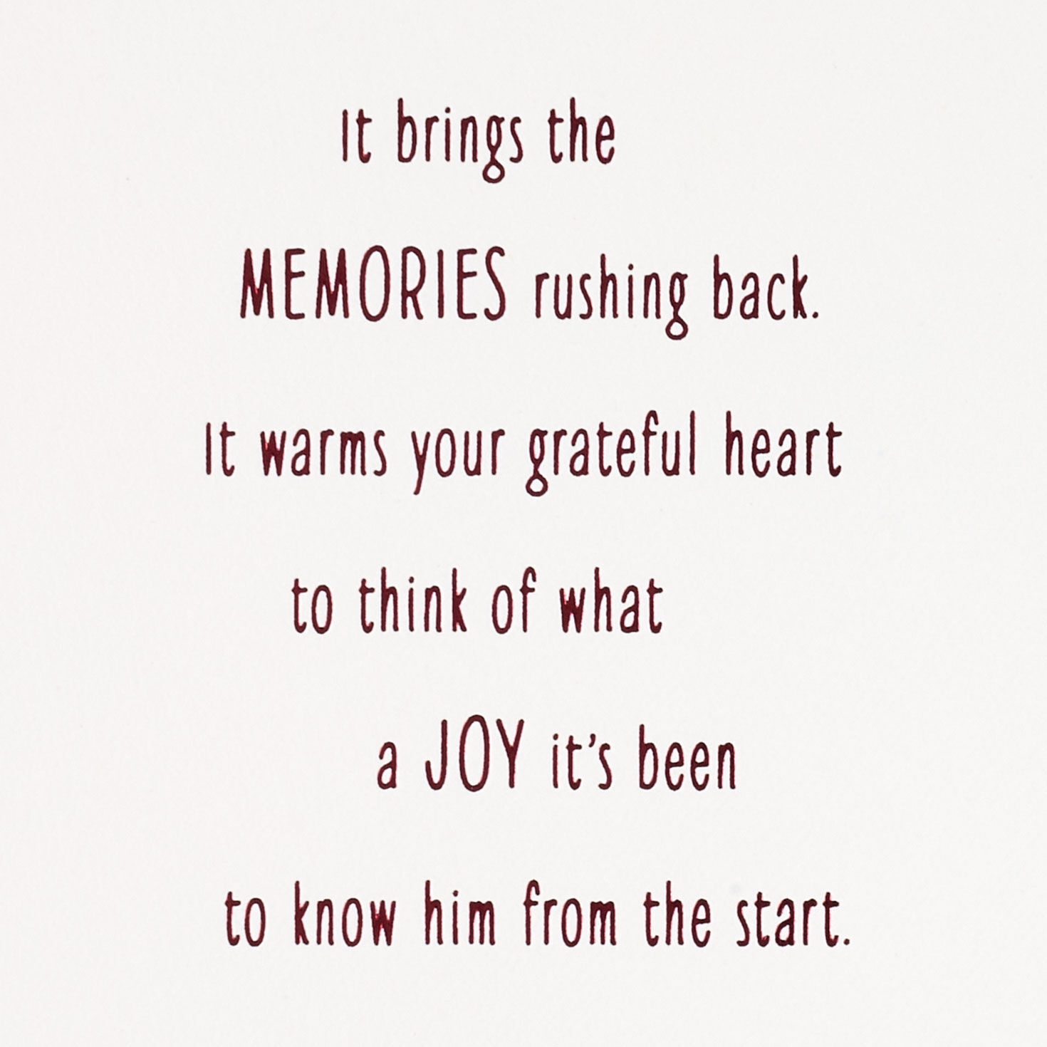 Holiday Cookies Son Christmas Card Sentiment image number 2