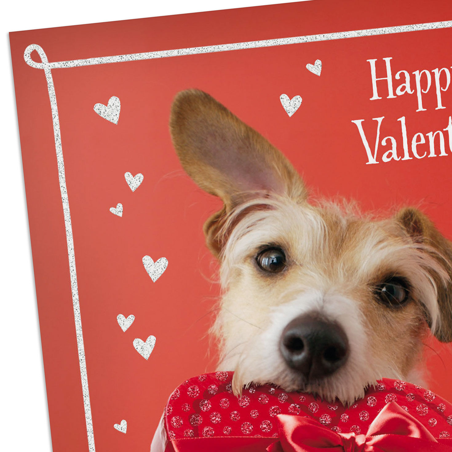 Puppy Dog with Red Candy Box Valentine's Day Card Pack Card Front Detail image number 4