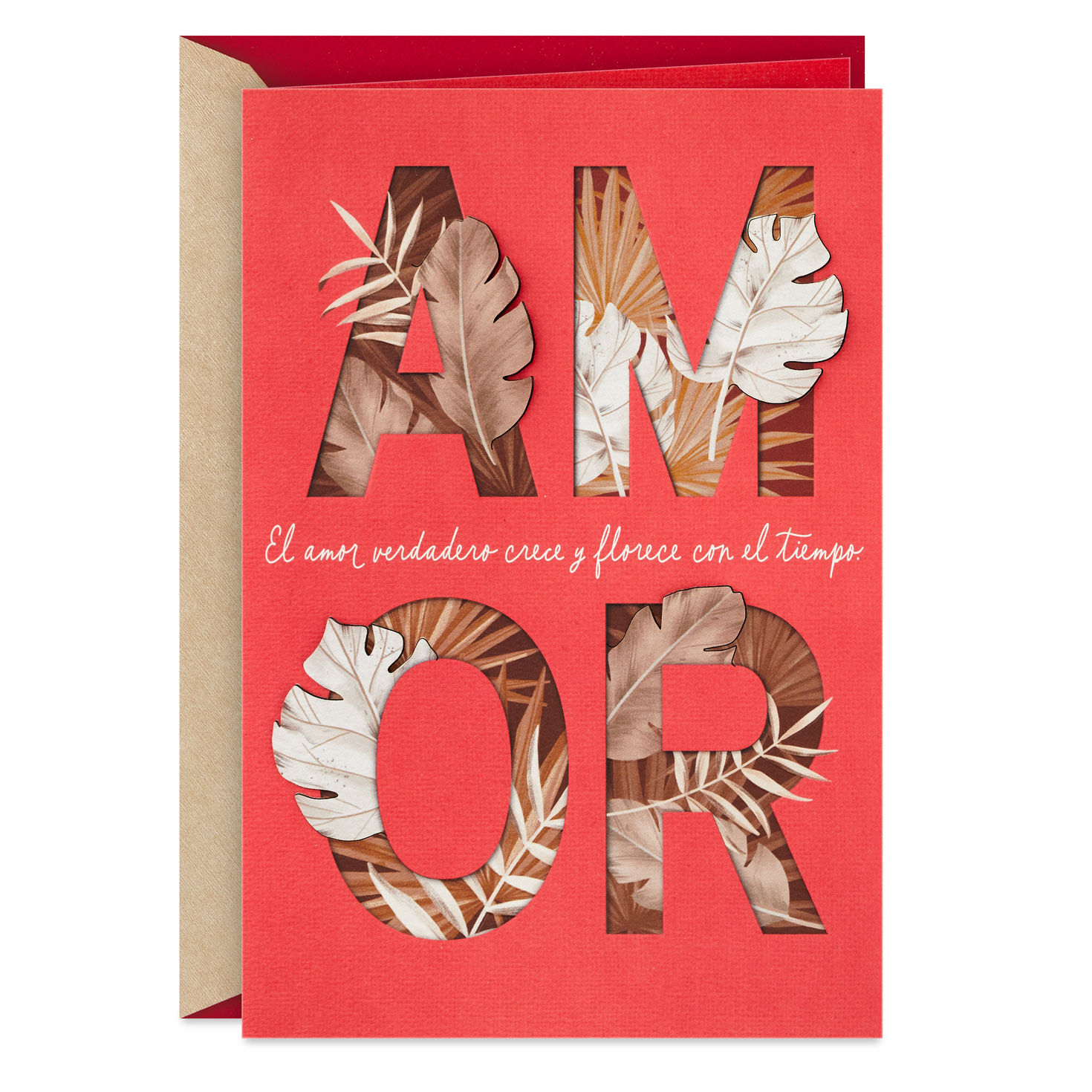 Love You More Each Day Spanish-Language Love Card - Greeting Cards ...