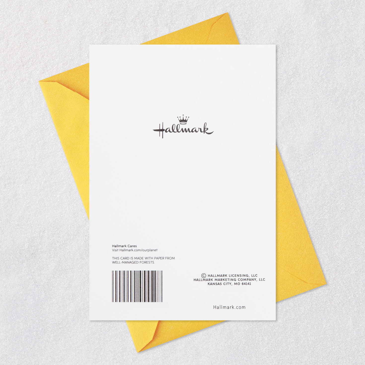 Cute Cat Holding Flowers Happy Birthday Card Card Back with Envelope image number 7