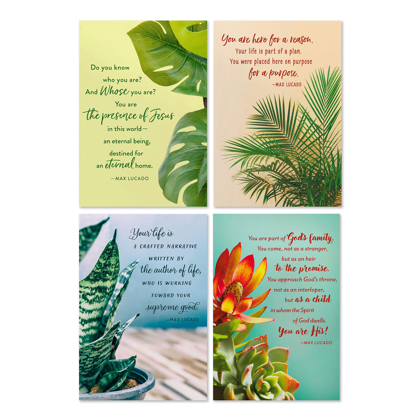 Max Lucado Botanical Art Assorted Religious Birthday Cards, Box of 12