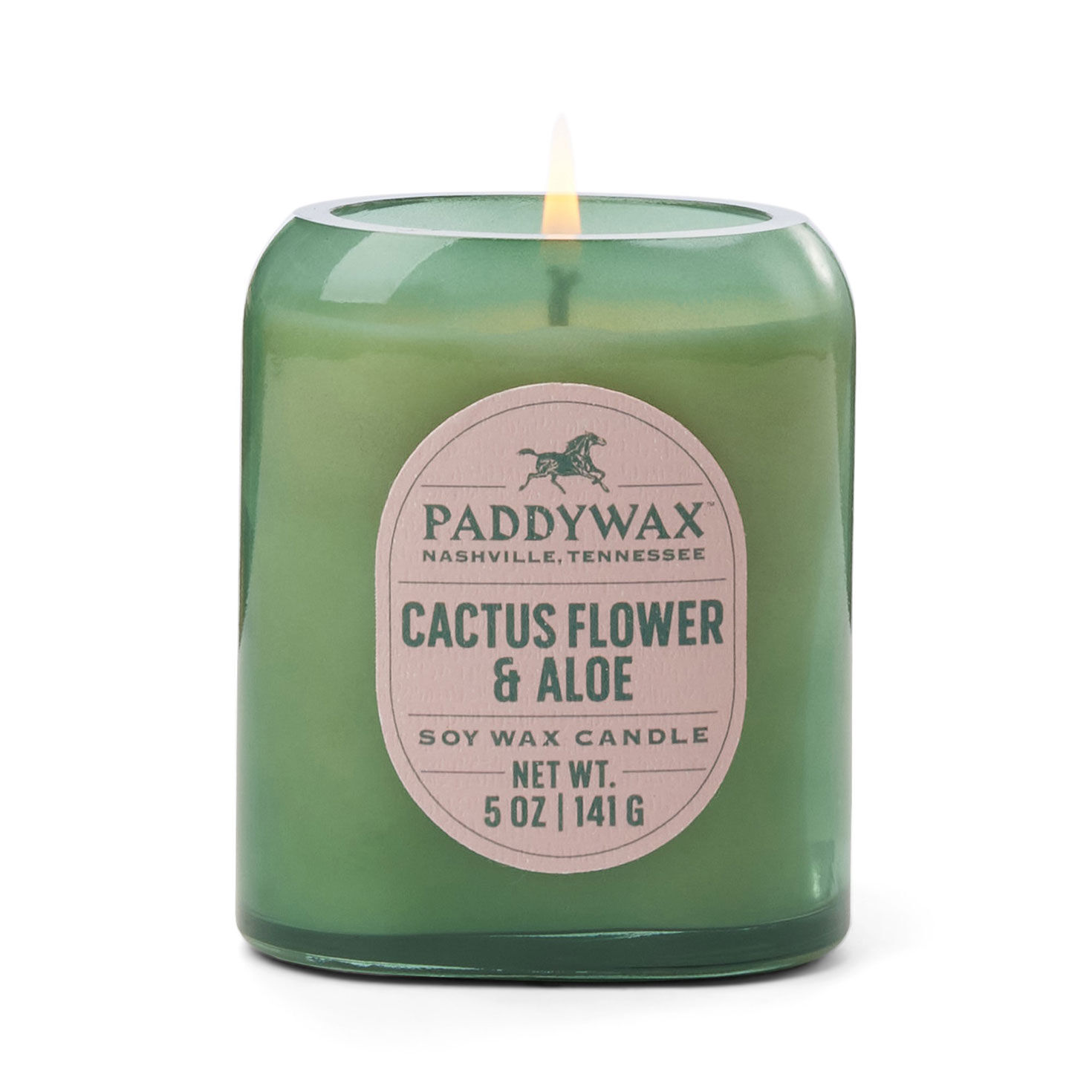 Paddywax Cactus Flower and Aloe Vista Candle, 5 oz. for only USD 18.99 | Hallmark