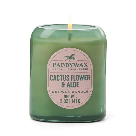 Paddywax Cactus Flower and Aloe Vista Candle, 5 oz.