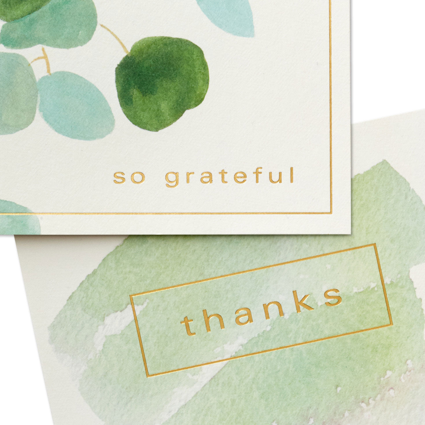 Watercolor Eucalyptus Assorted Blank Thank-You Notes, Pack of 40, , large image number 3