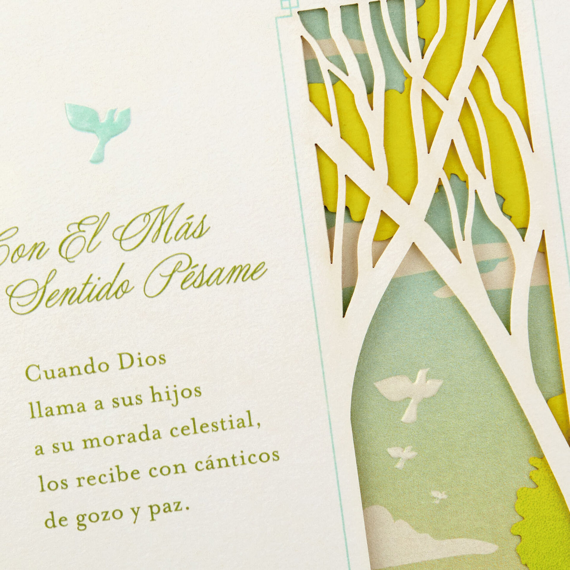 Light and Comfort SpanishLanguage Religious Sympathy Card Greeting