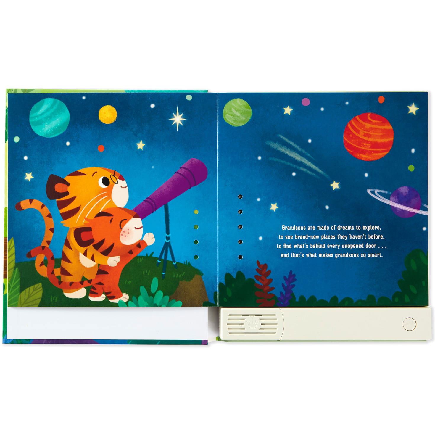 What Are Grandsons Made Of? Recordable Storybook for only USD 34.99 | Hallmark