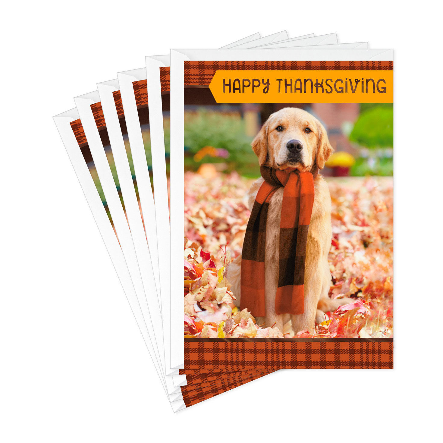 Warm Thoughts of You Thanksgiving Cards, Pack of 6