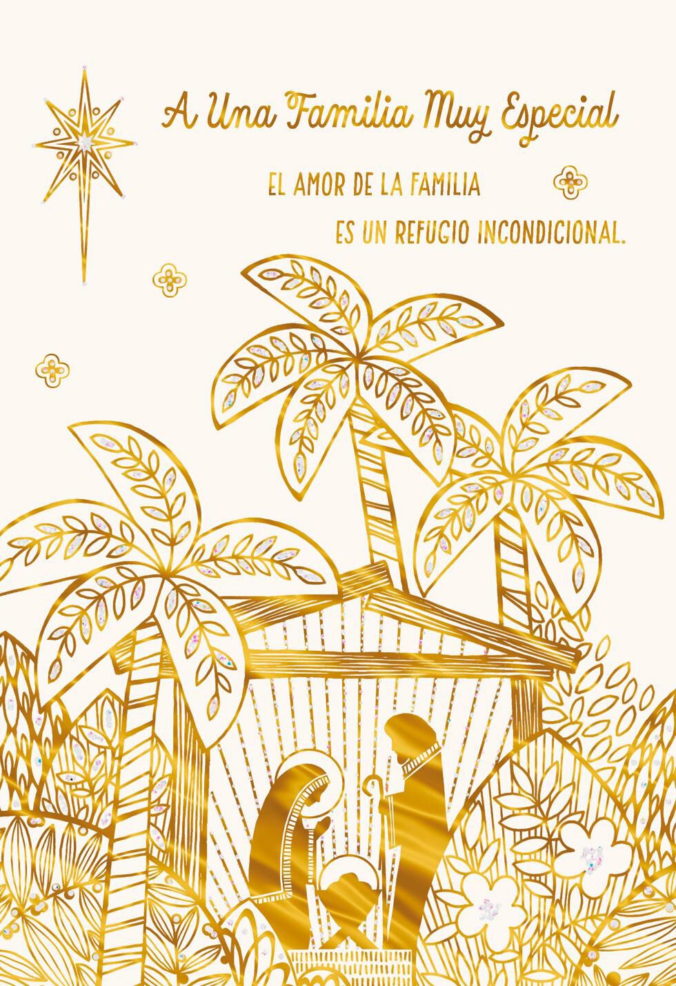 For a Special Family Spanish-Language Christmas Card