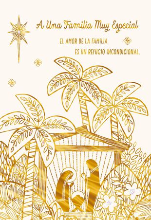 Details about  / AG Spanish Christmas Card Wishing Friends /& Family a Year Filled With Love