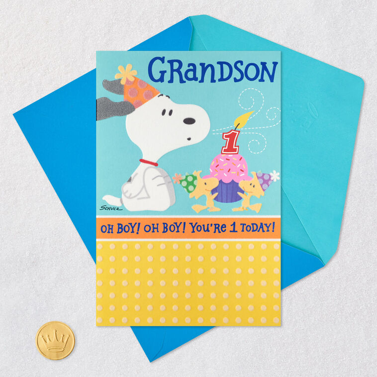 Peanuts® Snoopy First Birthday Card for Grandson, , large image number 6
