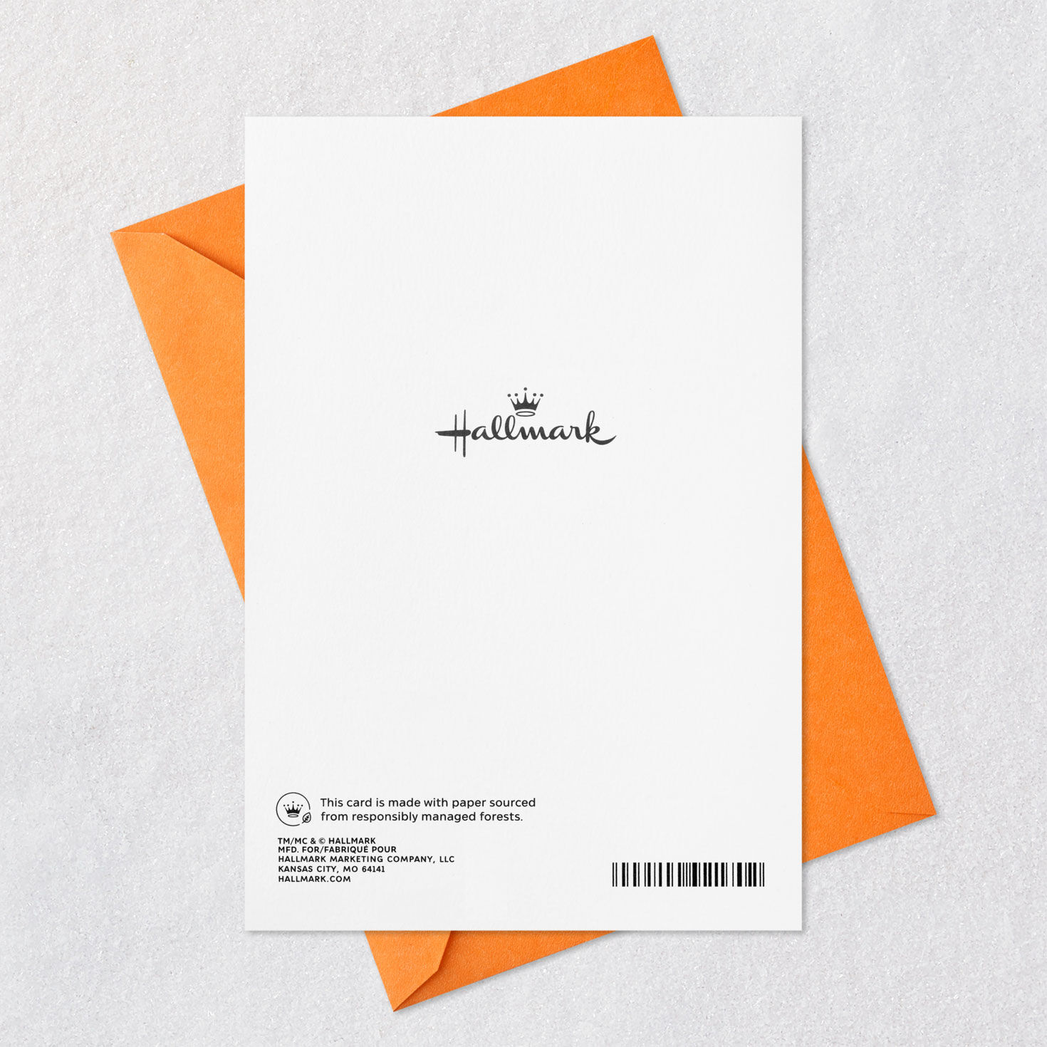 Bistro Table and Chairs With Umbrella Blank Card Card Back with Envelope image number 6