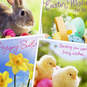 Sunny Springtime Assorted Easter Cards, Pack of 8, , large image number 4