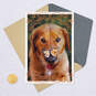 Dog and Butterfly Friendship Card, , large image number 5