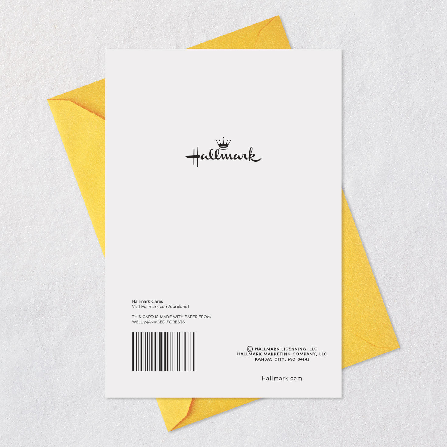 Pug Dog Knock Knock Joke Funny Birthday Card Card Back with Envelope image number 7