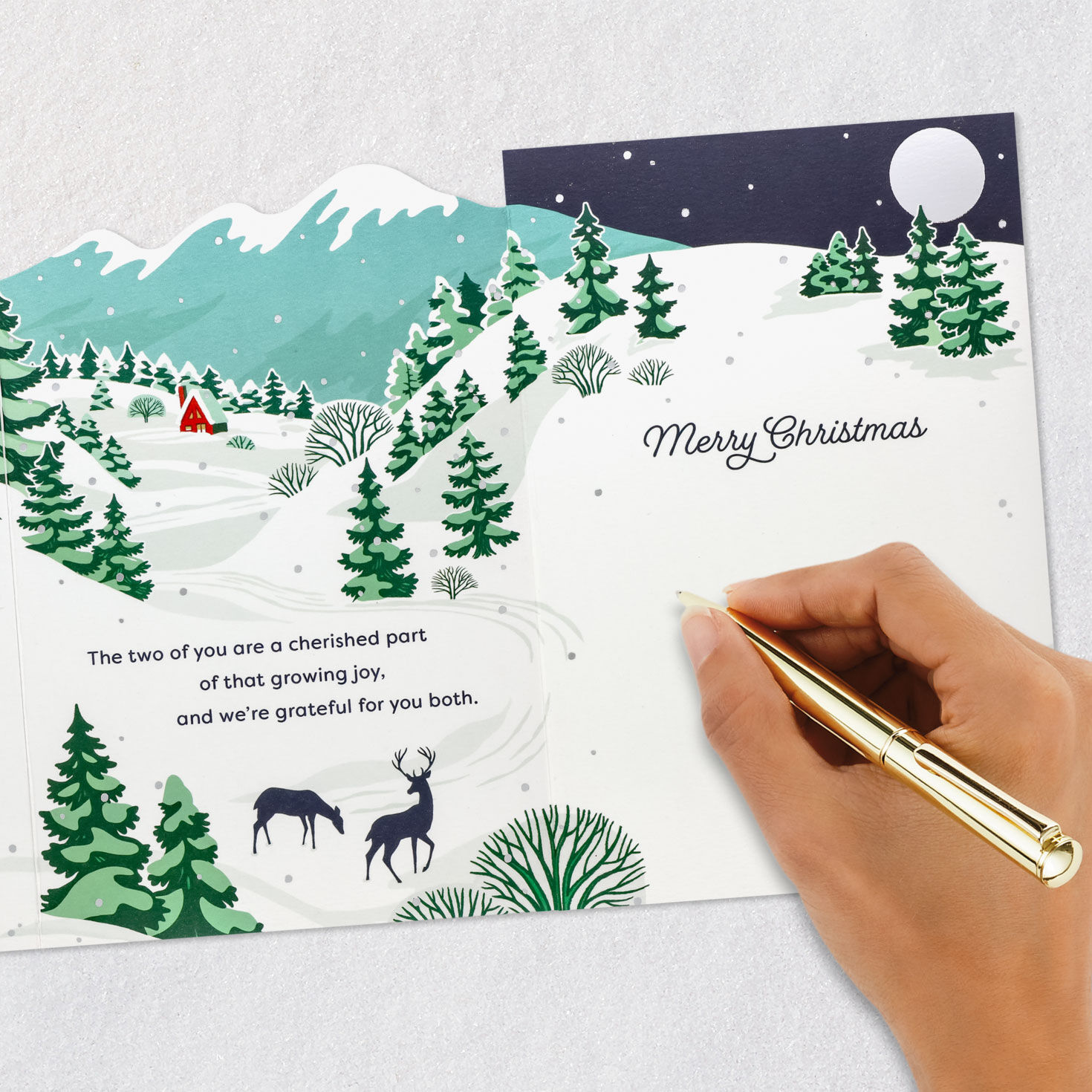 Winter Wonderland Christmas Card for Daughter and Husband signing card image number 8