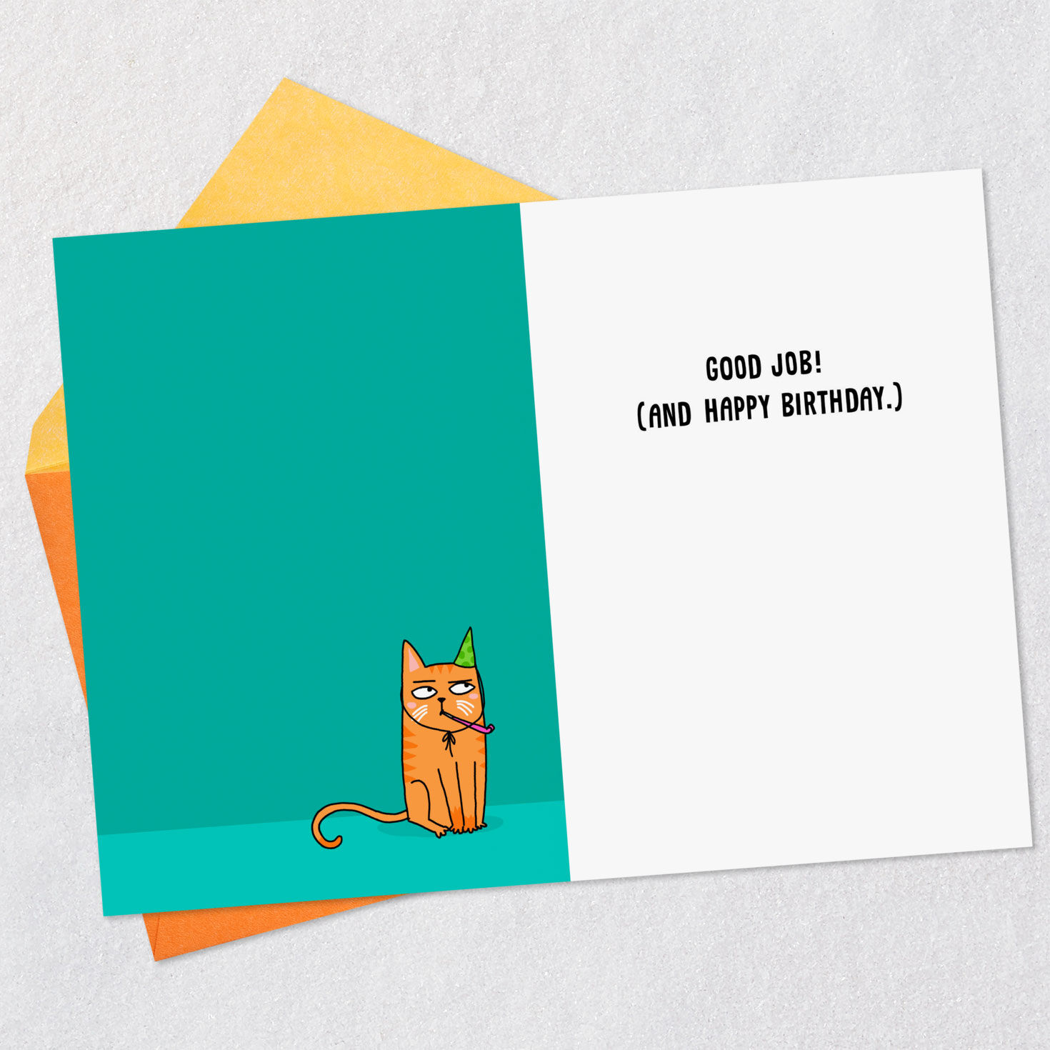 Cat Message Funny Birthday Card Open card with envelope image number 3