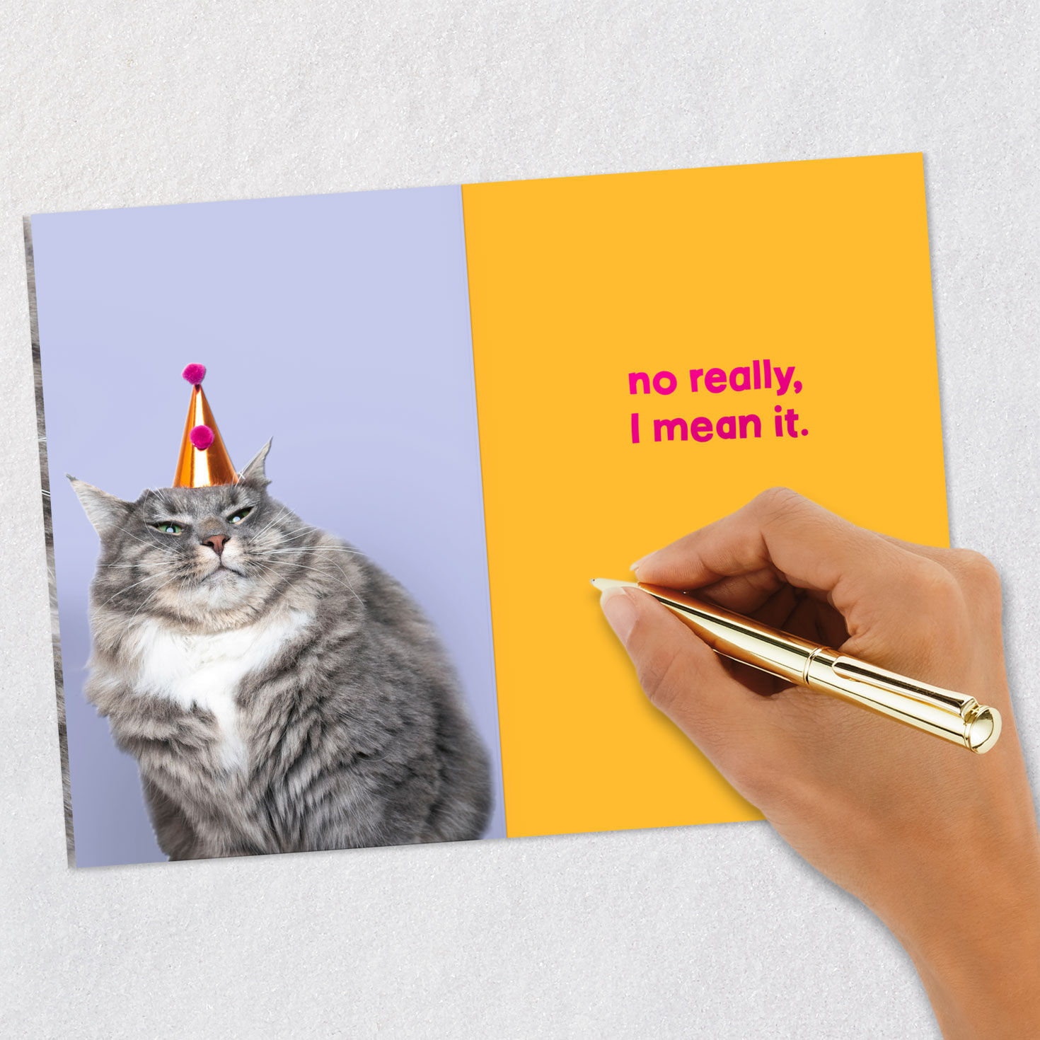 Grumpy Cat Funny Birthday Card for only USD 2.99 | Hallmark