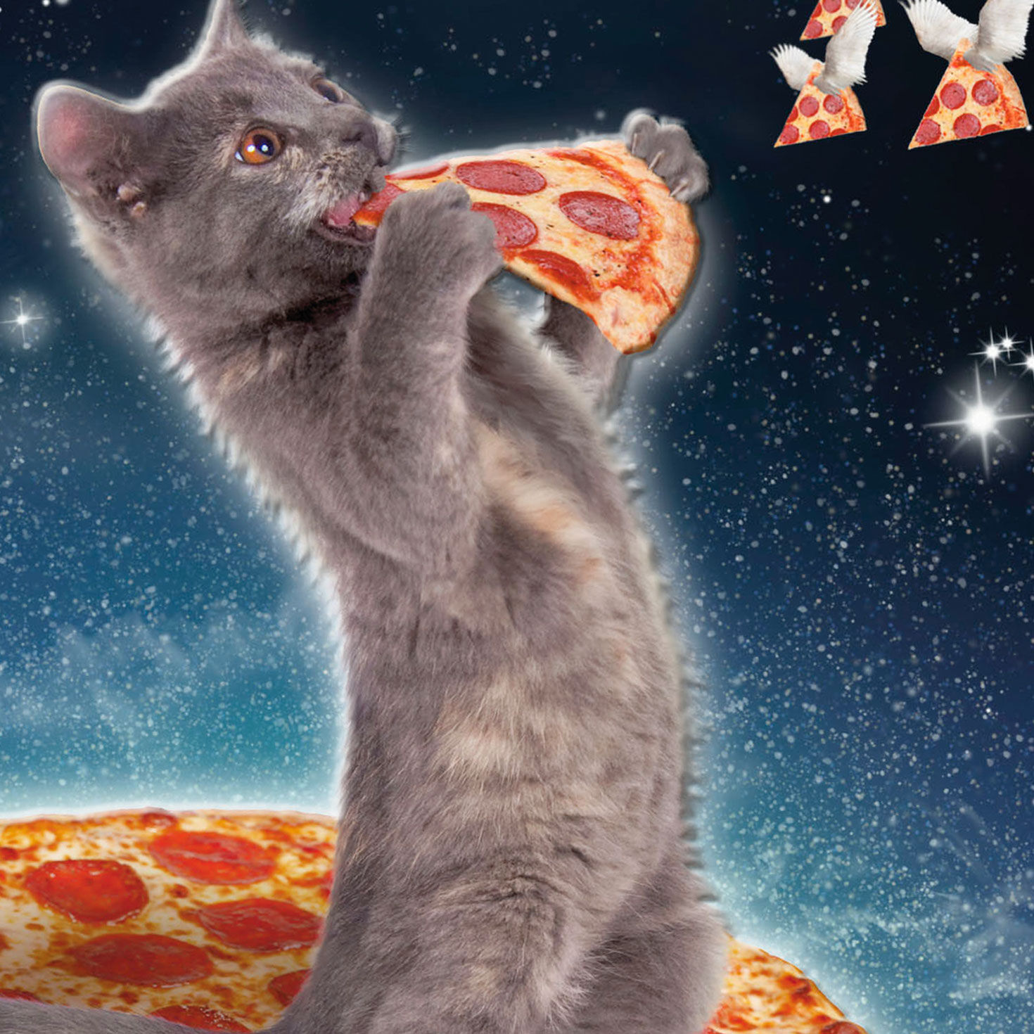 Cat in Space With Pizza Funny Birthday Card Card Front Detail image number 4