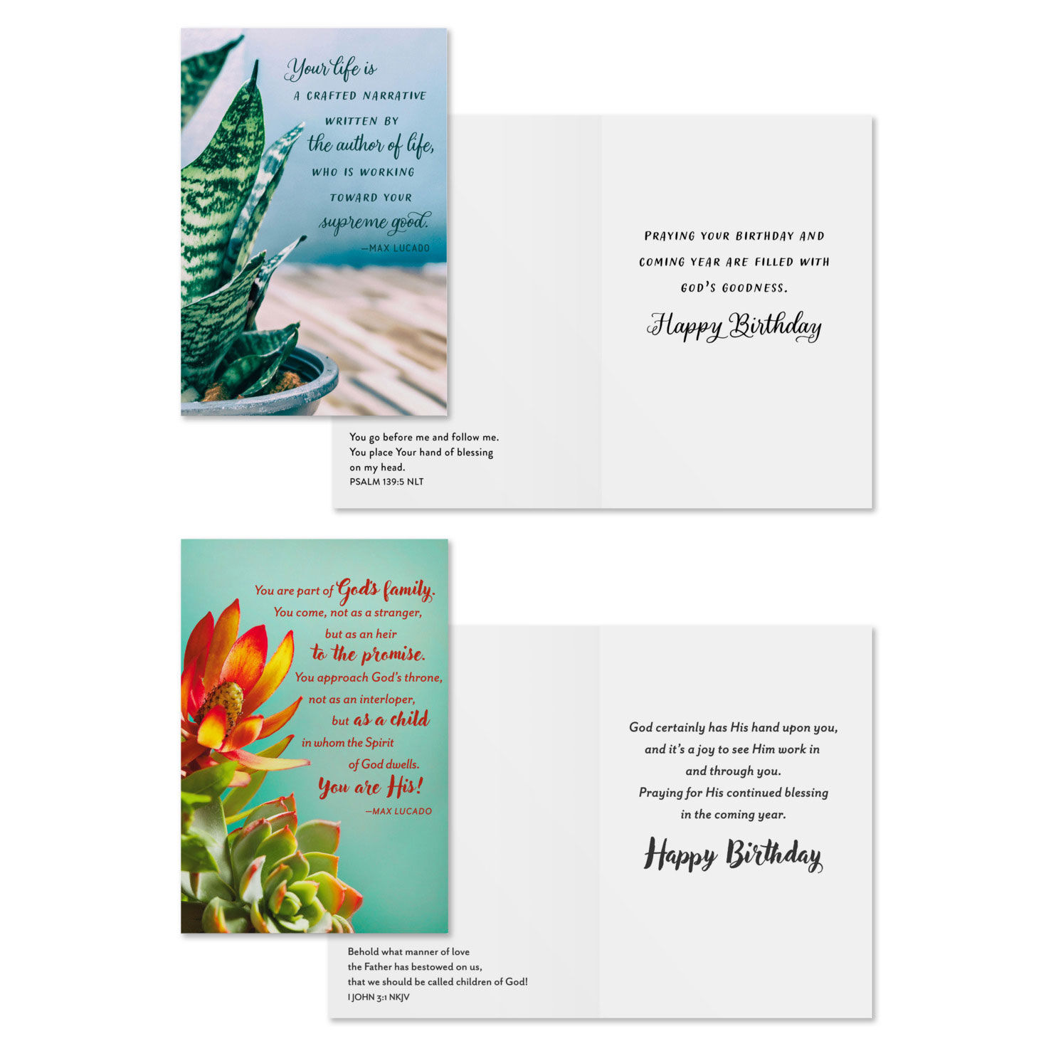 Max Lucado Art DaySpring Birthday Cards Assortment Card Front with Sentiment image number 4