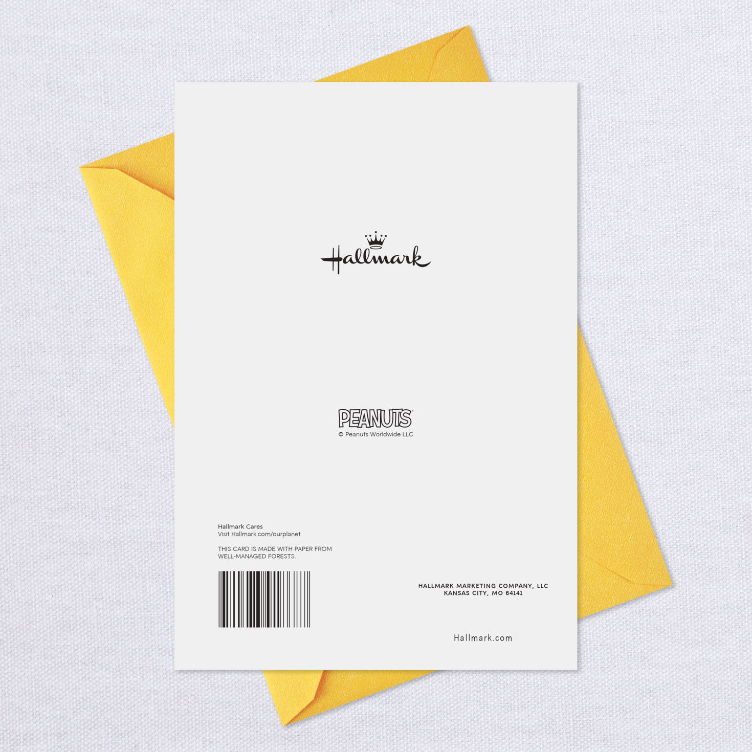 Peanuts&reg; Snoopy Sweet Stuff Easter Card For Grandson, , large image number 7