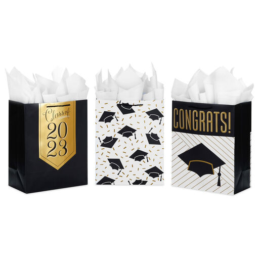 13" Assorted Grad Designs 3-Pack Large Gift Bags With Tissue Paper, 