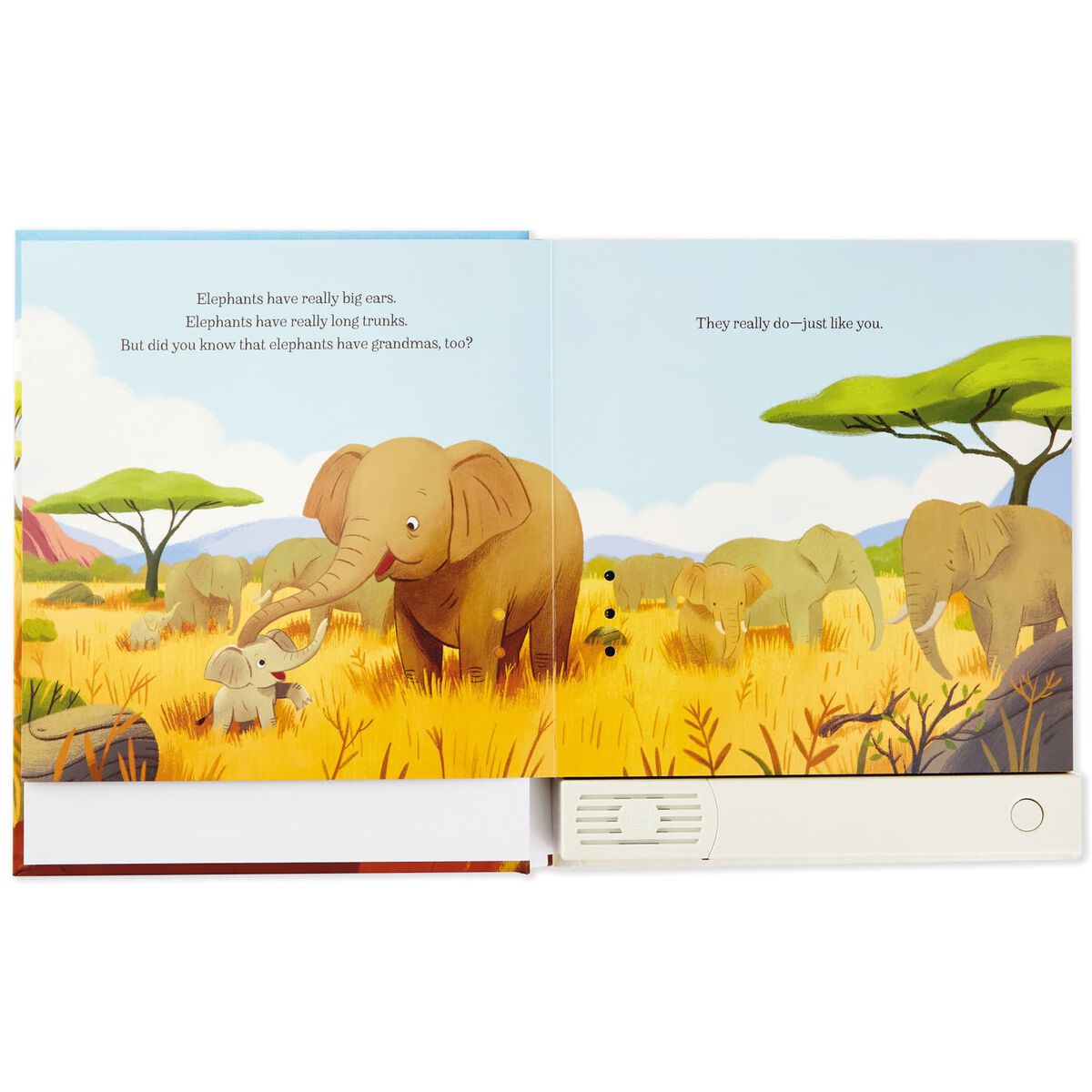 Elephants Have Grandmas, Too Recordable Storybook Recordable