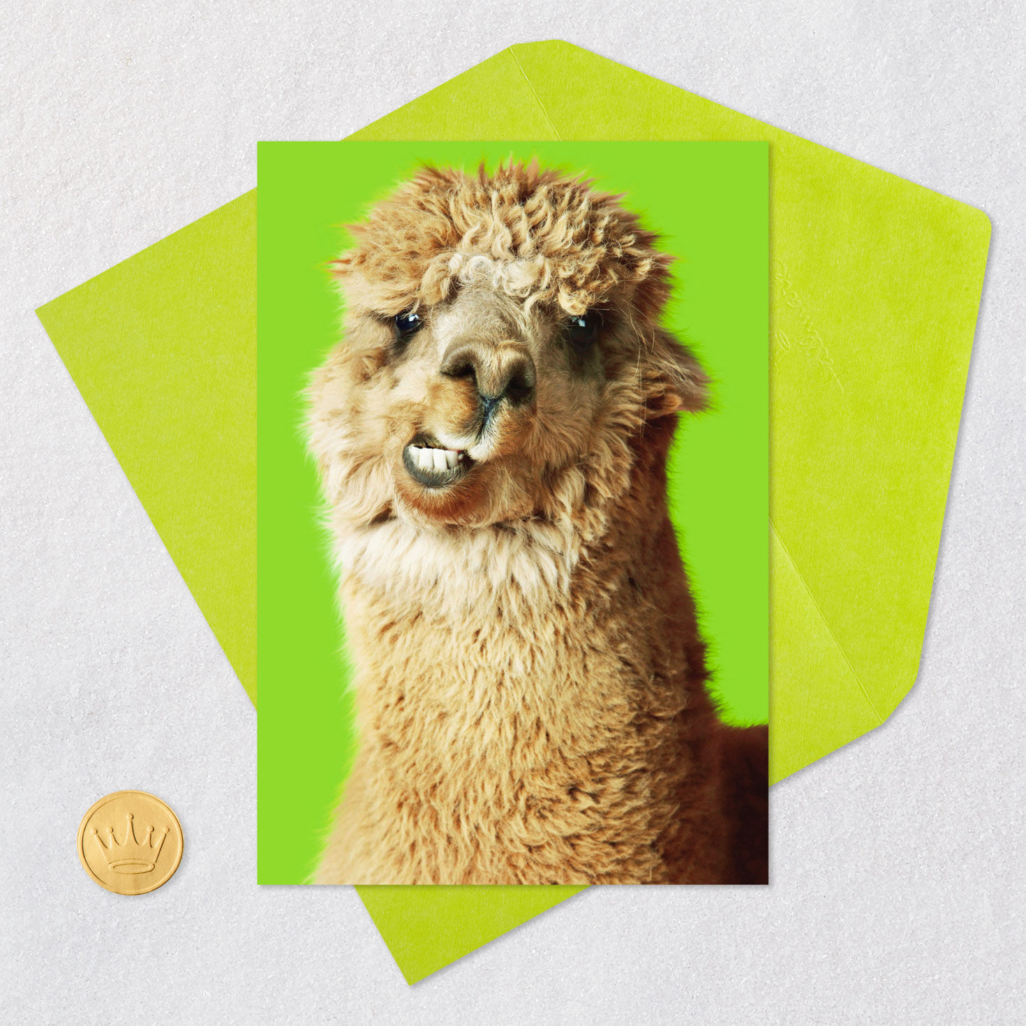 Nobody Gets Me Like You Do Funny Friendship Card, , large image number 5