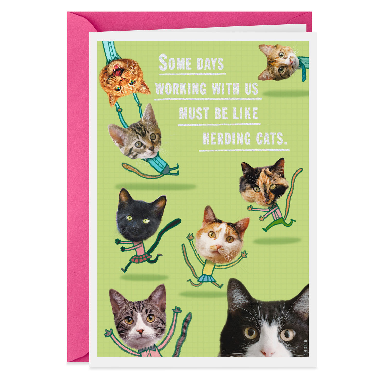 Herding Cats Administrative Professionals Day Card Greeting