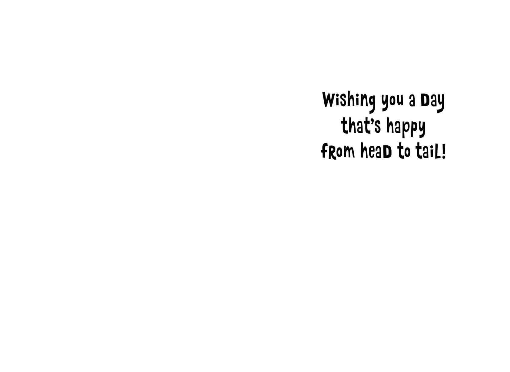 It's Your Day Birthday Cards, Pack of 10