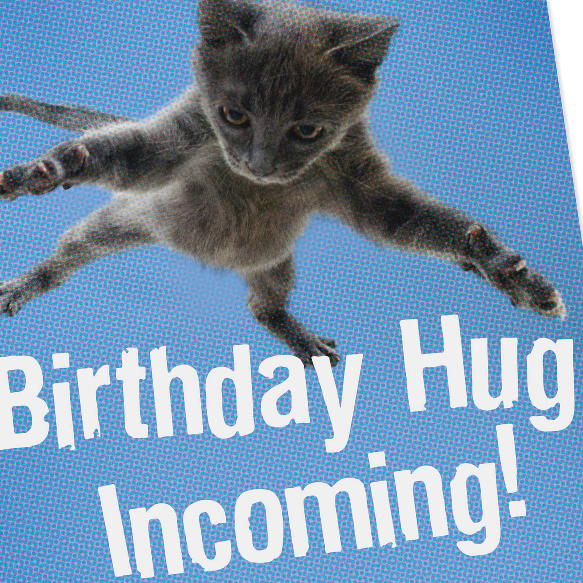 Incoming Hug Funny Birthday Card - Greeting Cards - Hallmark