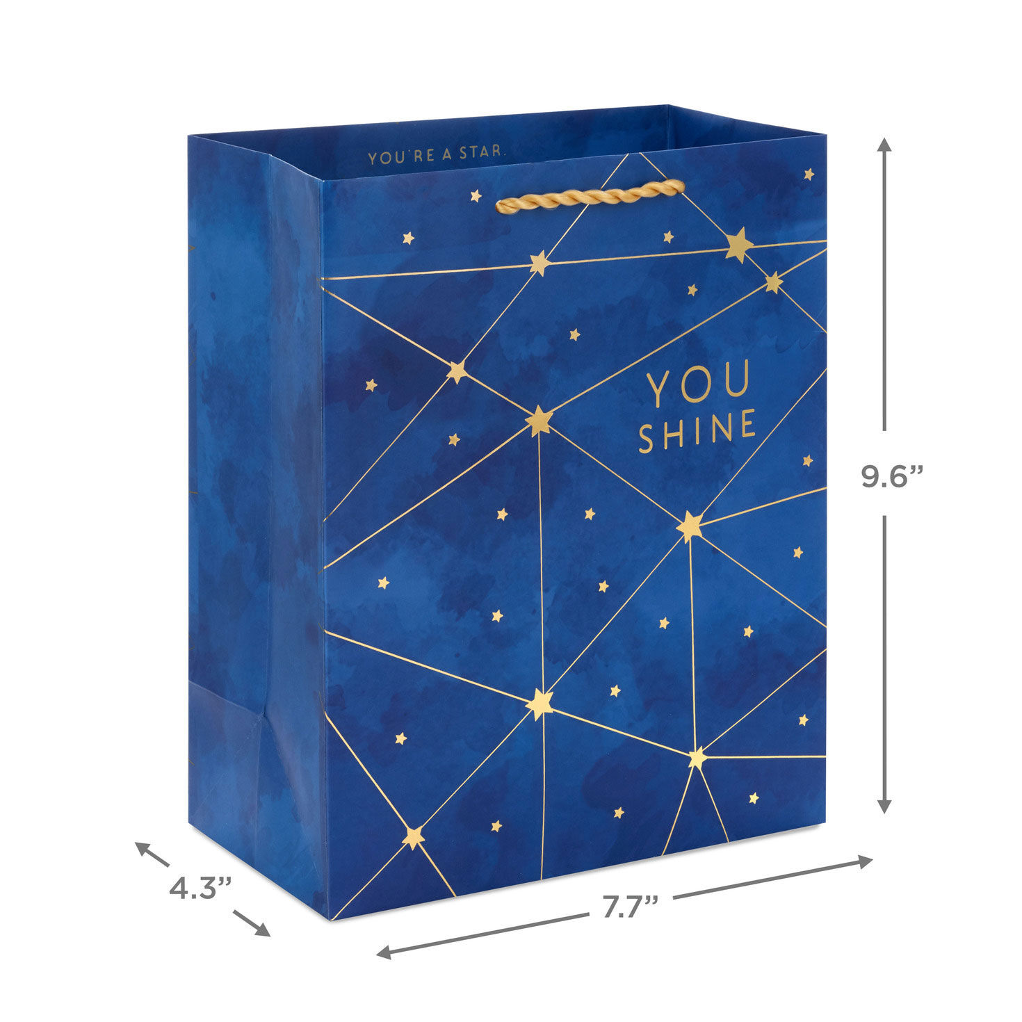 Gold Constellations on Navy Blue Medium Gift Bag measurement image number 3