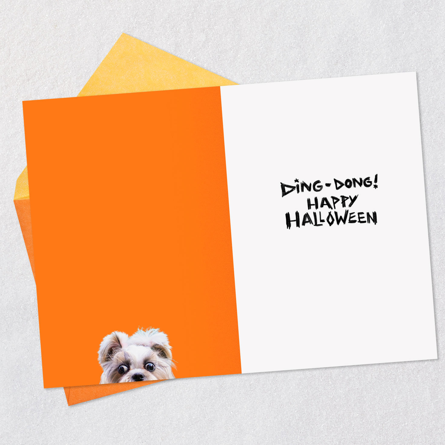 Dog Versus Doorbell Funny Halloween Card Open card with envelope image number 3