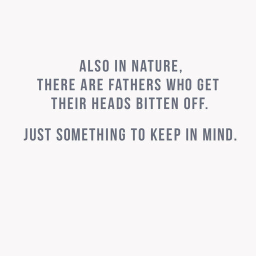 Dads in Nature Funny Card, 