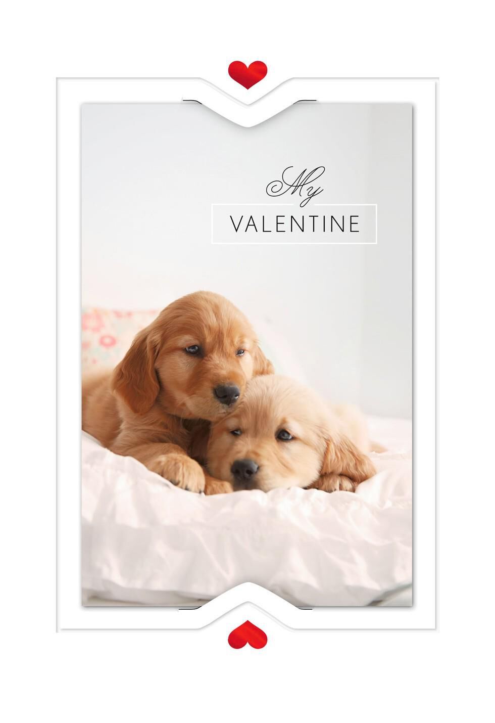 Snug with You Valentine's Day Card