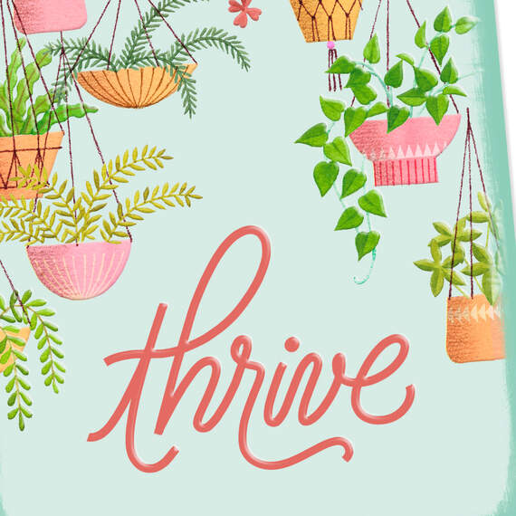Thrive Assorted Plants Blank Card, , large image number 3
