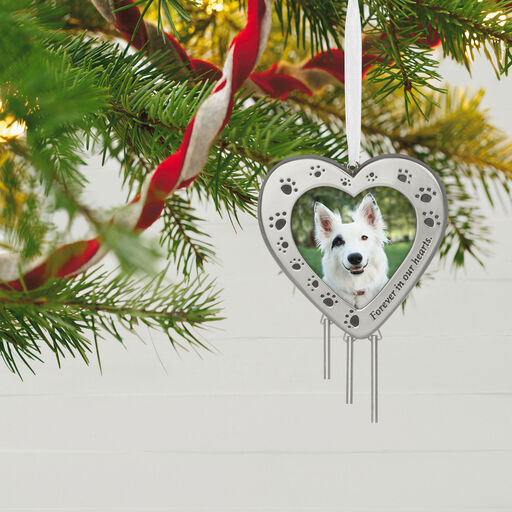 Forever in Our Hearts Metal Photo Frame Pet Memorial Ornament, 