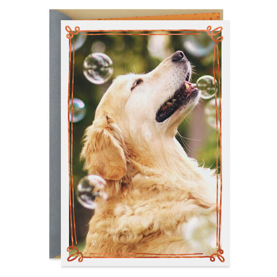 Happy Thoughts Dog With Bubbles Encouragement Card