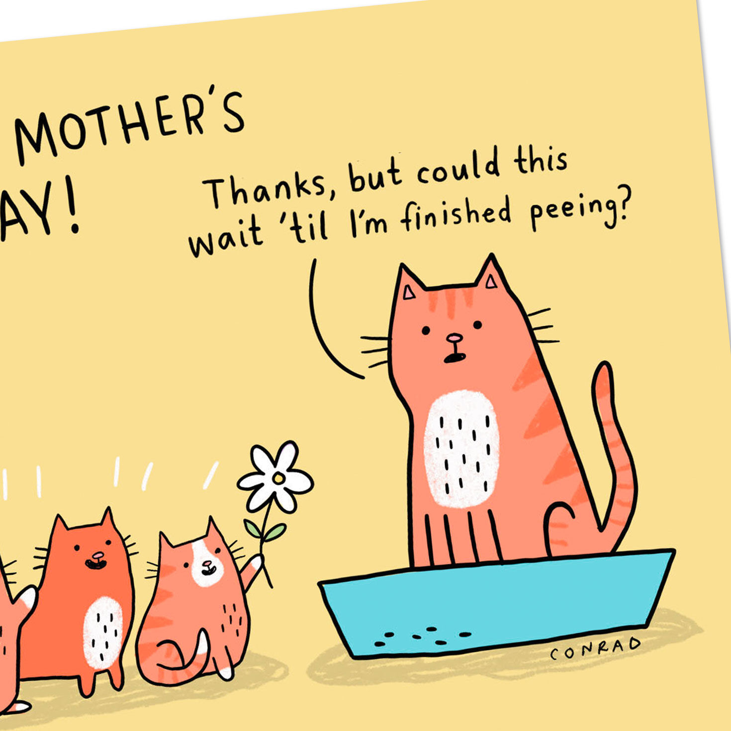 Mom Cat in Litter Box Funny Mother's Day Card Card Front Detail image number 4