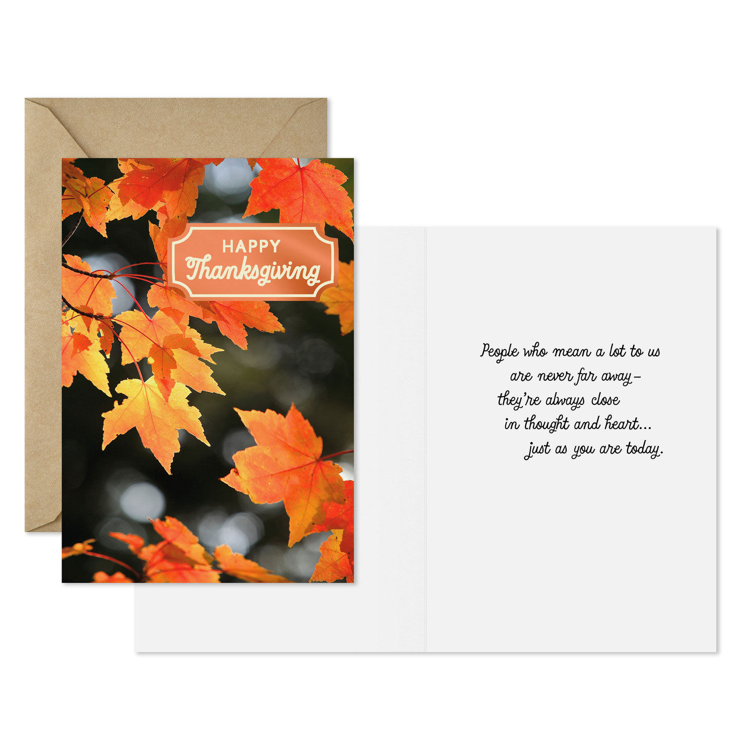 Fall Leaves on Branches Thanksgiving Cards Pack Card Front with Sentiment image number 2