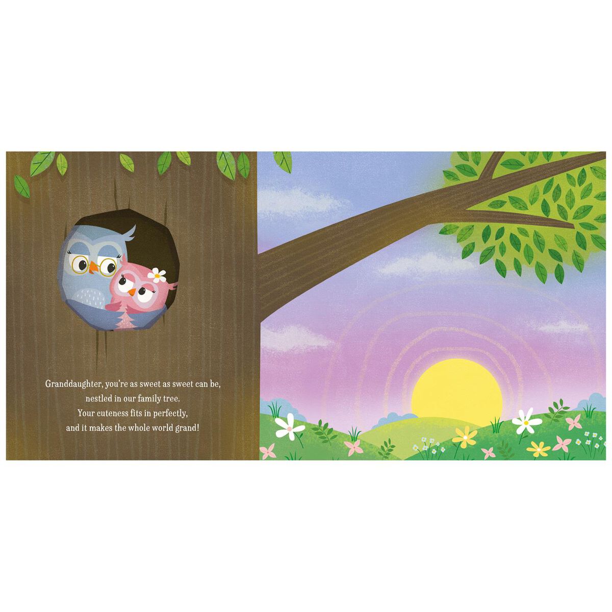 Granddaughter You Make the World Grand! Recordable Storybook