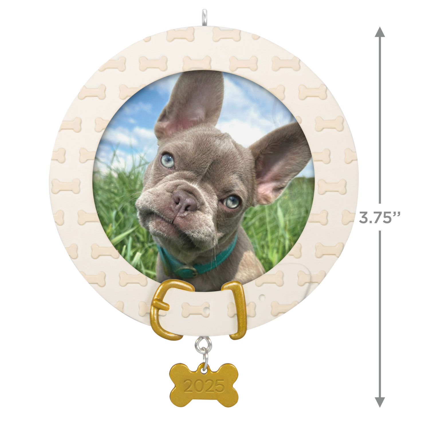 Pet Collar With Bone Charm Frame Keepsake Ornament measurement image number 3