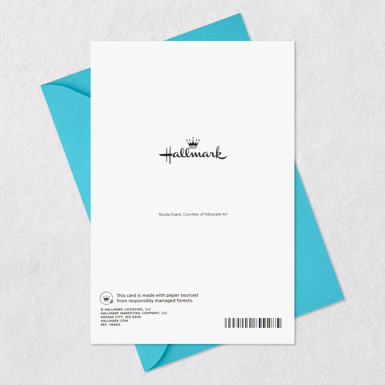 Folk Art Flowers Blank Card Card Back with Envelope image number 6