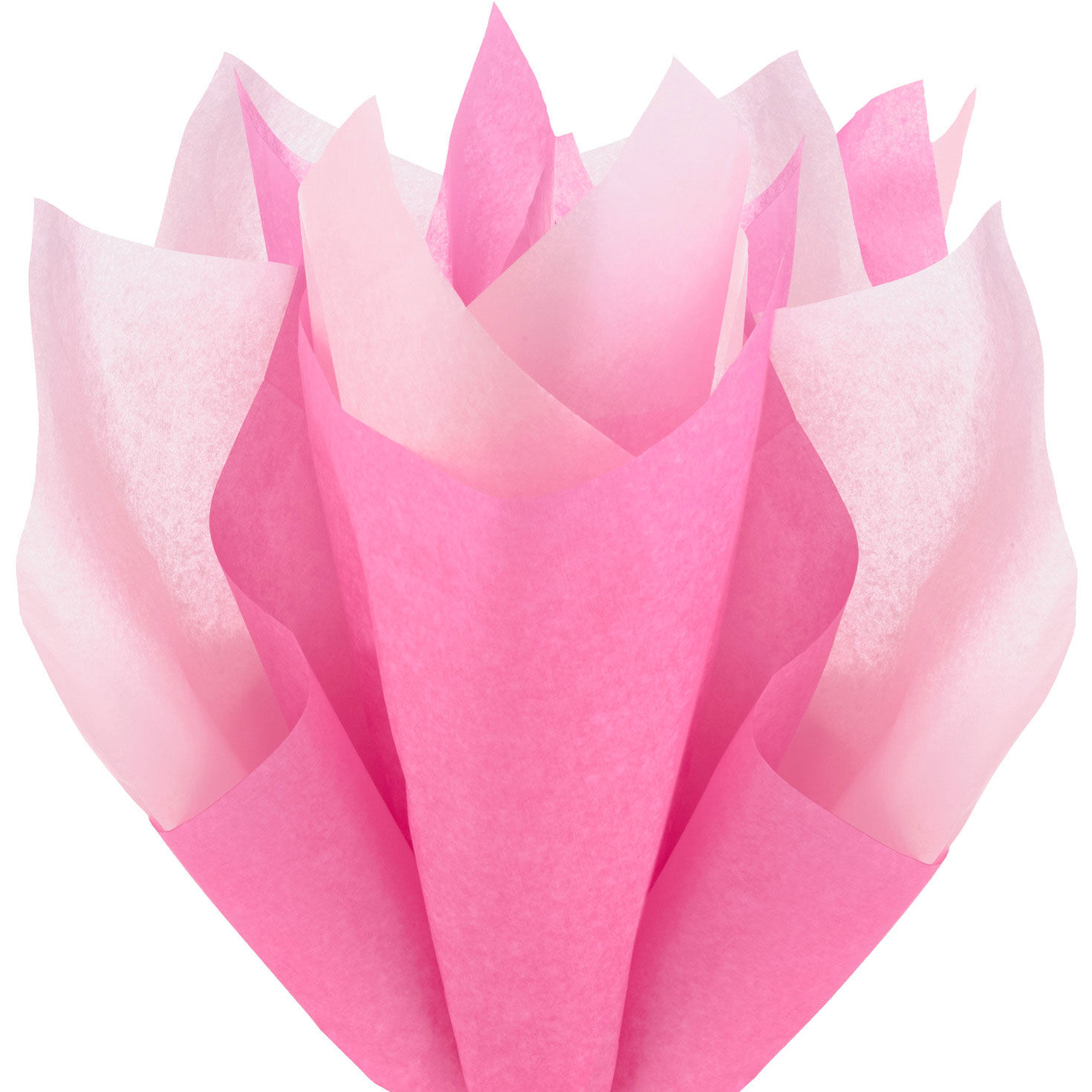 Solid Hot Pink/Medium Pink 2-Pack Tissue Paper, 6 sheets, Hot Pink & Medium Pink, large image number 2