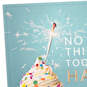 No Such Thing As Too Much Happy Cupcake Birthday Card, , large image number 4