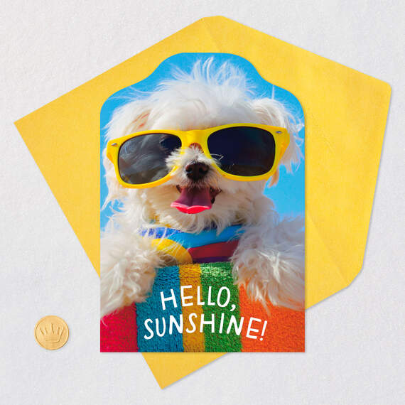 Dog in Sunglasses Hello Card, , large image number 5