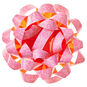 4.6" Pink Abstract Flowers Recyclable Gift Bow, Pink Abstract Flowers, large image number 1