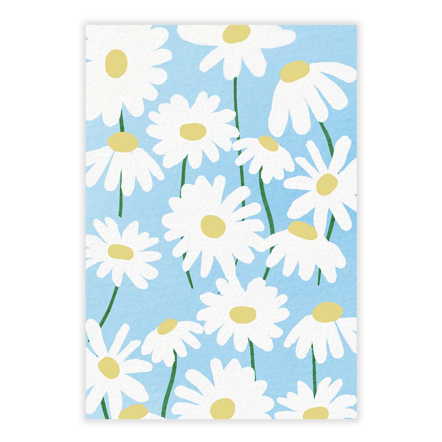 White Daisies on Blue Personalized Card front image number 2