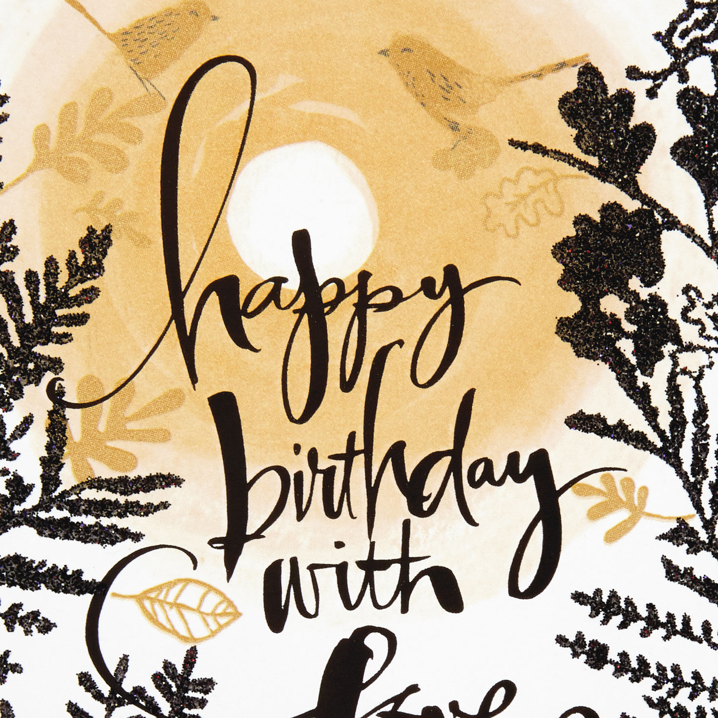 My One and Only Romantic Birthday Card for only USD 3.99 | Hallmark