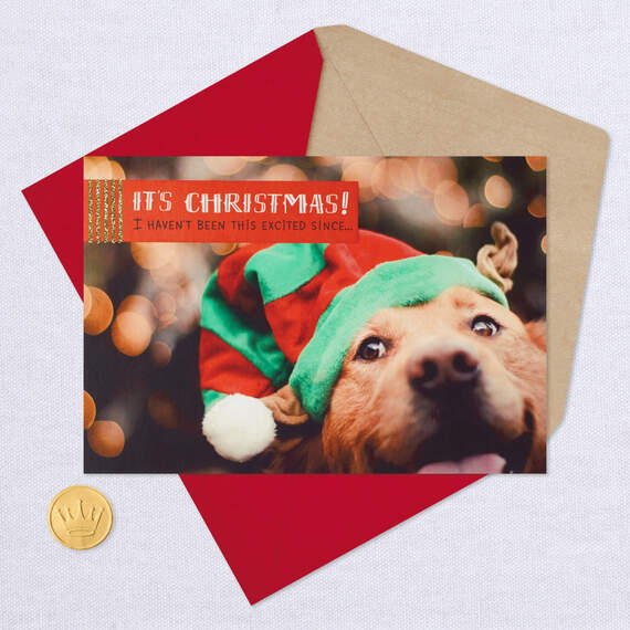Pawsome Christmas Card From the Dog, , large image number 5